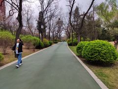 -迎泽公园
