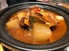 红烧牛腩-谷田稻香(佛罗伦萨店)