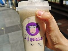 -一只酸奶牛(八一路店)