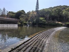 -云溪植物园