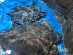 -多彩贵州城极地海洋世界