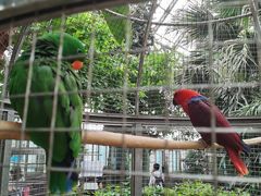 -大连森林动物园