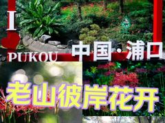 -老山国家森林公园
