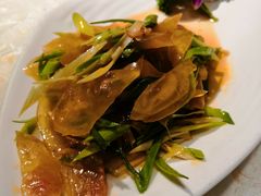 拌牛筋-博望坡酒楼(漕溪路店)