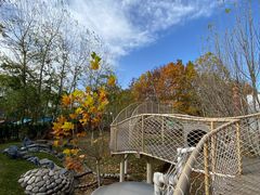 -金宝幼儿园(通州校区)