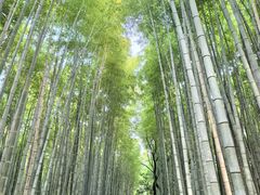 -常寂光寺