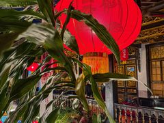 -蔼若春.传承云南菜(金碧公园店)