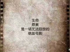 -左舞和风屋便当(金地店)