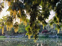 -玄武湖景区-情侣园游乐场