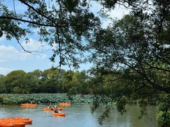 -西溪国家湿地公园