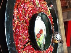 -渝大狮毛肚老火锅(普陀店)