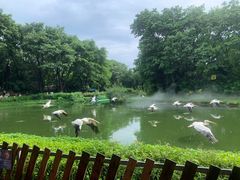 -广州长隆飞鸟乐园