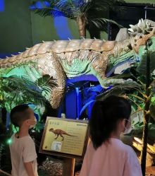 -恐龙探索乐园(磁器口店)