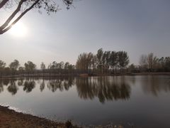 -东郊湿地公园