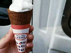 -富豪雪糕车流动点(尖沙咀店)