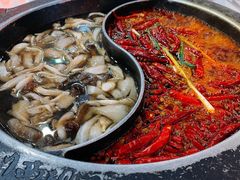 牛油菌汤鸳鸯-川西坝子火锅(金沙1.0直营店)