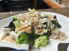 -鲁前海沿儿