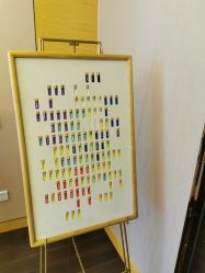 -彩虹之门健康管理