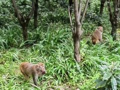 -黔灵山公园