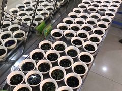 -春华海鲜城(广场西苑店)