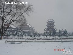 -南海禅寺