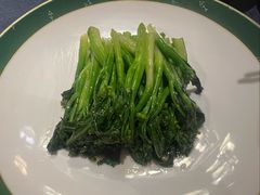 芥兰苗-金狮麟·新豫菜(金码大厦店)