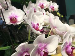 -春暖花开(西溪店)