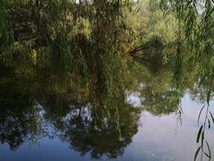 -溱湖国家湿地公园