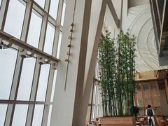-上海柏悦酒店·世纪100牛排馆