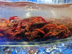 -星伦多自助料理·涮烤一体(虹悦城店)
