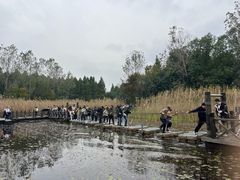 -溱湖国家湿地公园