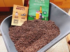 -Seesaw Coffee(朝阳大悦城店)