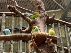 -正佳雨林生态植物园