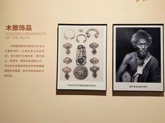 -四川大学博物馆