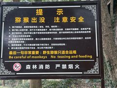 -苏州上方山国家森林公园