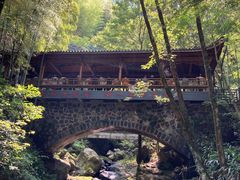 -藏龙百瀑风景区