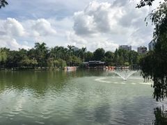 -金花茶公园