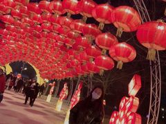 -沈阳奥体冰雪嘉年华