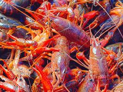 -一起吃小龙虾·海鲜(海珠店)