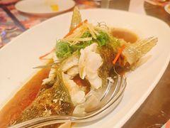 -玖尹-新派中式餐酒馆