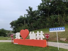 -羊山湖公园