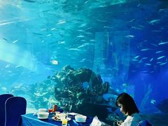 -海棠湾洲际-涛·海底餐厅·美人鱼·自助餐·海底隧道