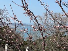 -刘公岛景区