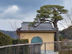 -中村藤吉(本店)