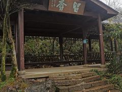 -千岛湖石林