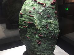 -湖南省地质博物馆