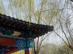 -莲花池公园