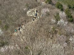 -北京鹫峰国家森林公园