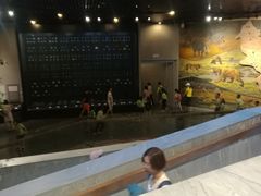 -北京周口店北京人遗址博物馆
