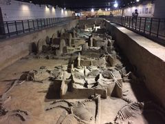 -洛阳周王城天子驾六博物馆